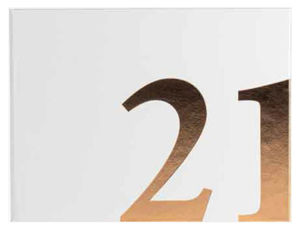 21st birthday Guest Book