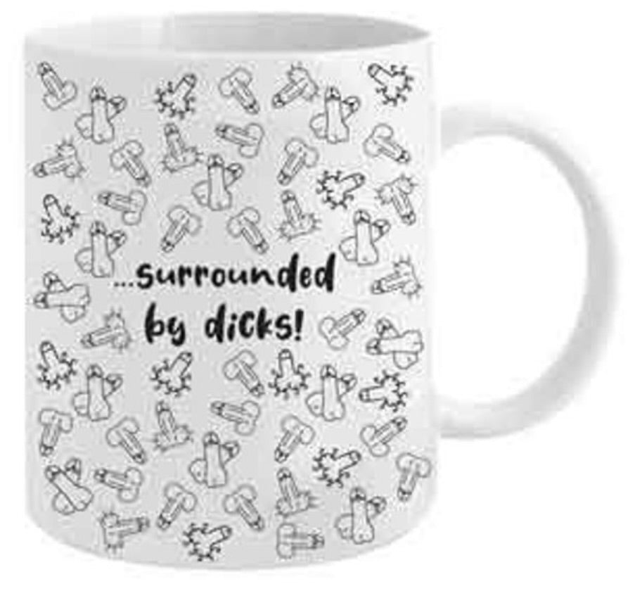 Another day at work surrounded by d*cks mug