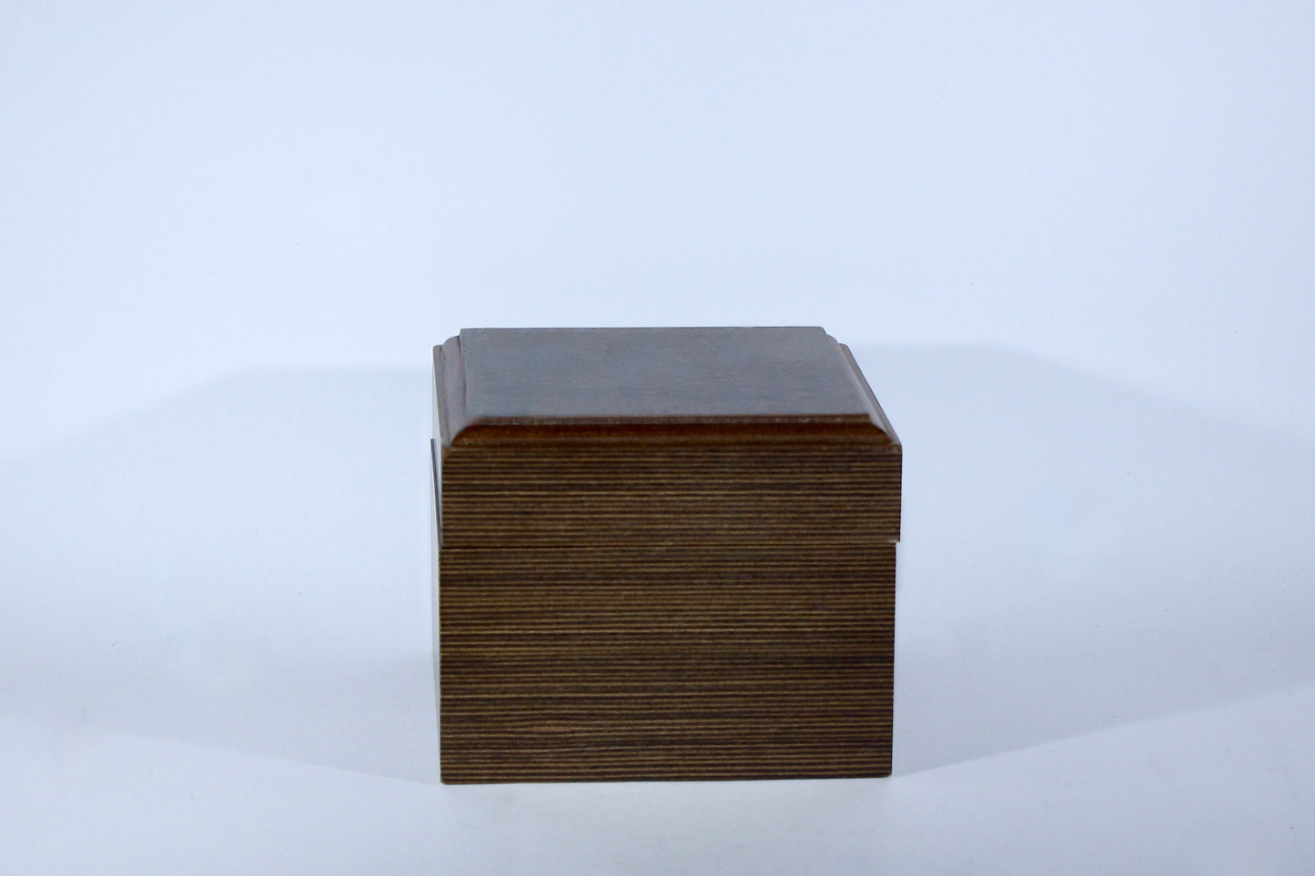 Single Watch Presentation Box