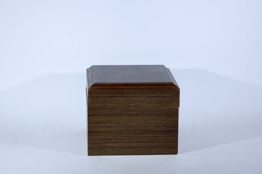 Single Watch Presentation Box